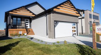 16 Berry Hill Road